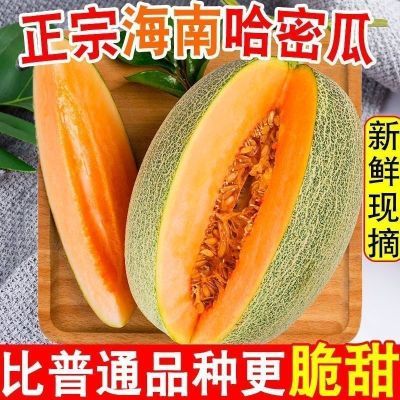 正宗海南沙地蜜瓜哈蜜瓜现摘现发整箱10斤批发