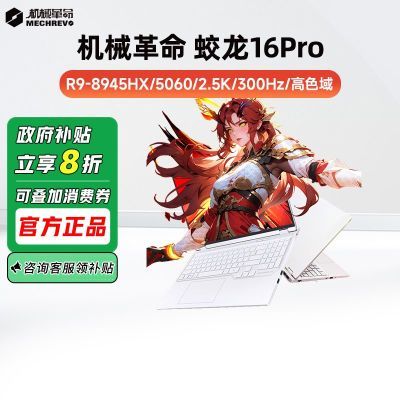 20%е16ProR9-8945HX5060ϷʼǱ5679.2Ԫ