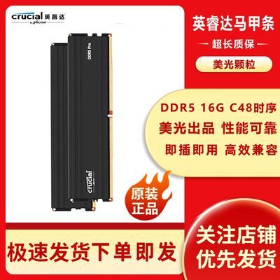 ڲӢDDR5 16G 6000MT/S C48ʱ ̨ʽڴProϵϷ259Ԫ