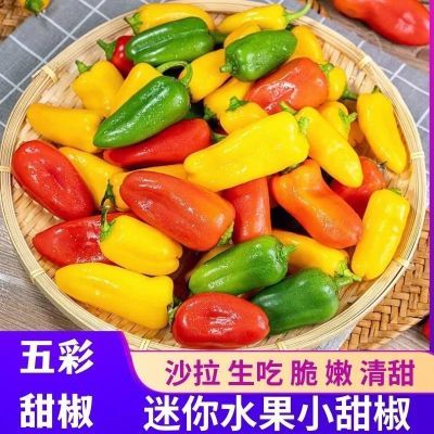 《五彩甜椒》水果甜椒彩椒迷你五彩椒水果甜椒新鲜小辣椒生吃不辣