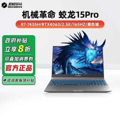 20%е15Pro R7-7435H 4060ϷʼǱ3958.4Ԫ