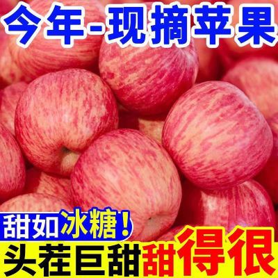 陕西白水洛川红富士纯自然生长不催熟不打蜡高原丑苹果阳光果甜脆
