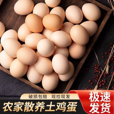 50枚正宗农家散养新鲜鸡蛋柴鸡蛋营养虫草蛋当天现捡儿童孕妇