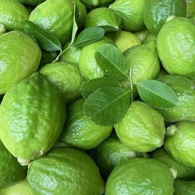 广东香水柠檬一级二级新鲜柠檬奶茶店正宗现摘鲜果专用暴打柠檬茶