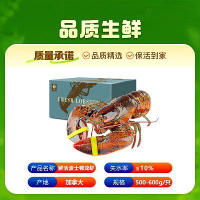 ϺٴʵʻʿٴϺ500-600g*2ֻʲϺ245Ԫ