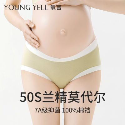 ڲ ĪиڿŮʿиv͵ʴڴʸ48.9Ԫ