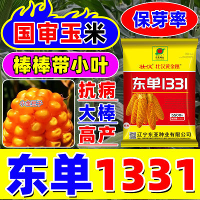 ڲ1331߲Ӱ˿˫Ʒѳ107.9Ԫ
