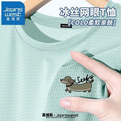 百亿补贴：真维斯痞帅短袖t恤男款夏季轻薄男士冰丝凉感速干网眼半袖上衣服 26.9元