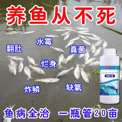 硫醚沙星水产养殖水霉病专治烂身烂尾白毛水霉净鱼塘消毒杀菌消炎