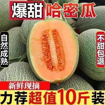 【海南直发】正宗海南沙地蜜瓜哈蜜瓜非新疆清园降价直发整箱