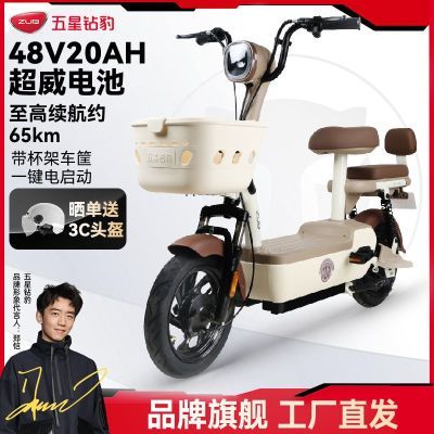 ڲ֣ԡ걪48V20AH¹綯гС͵ƿA281318Ԫ