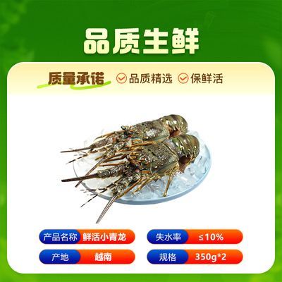 ˳ˡʵʻСʻˮϺϺ350g*2ֻ318Ԫ