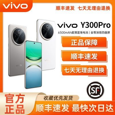 ƷСvivo Y300 Pro 콢5Gֻ6500mAhشڴ1016.1Ԫ