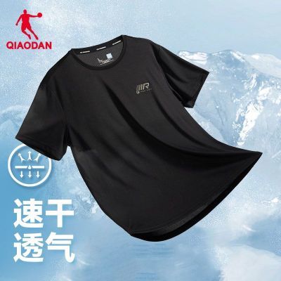ڲǵQIAODAN˶Tļʪٸ͸ܲ֯˶39Ԫ
