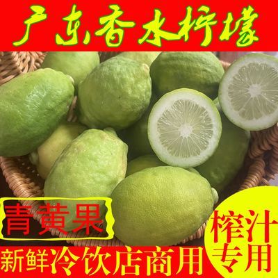 广东香水正宗柠檬鲜果榨汁新鲜黄柠檬无籽薄皮奶茶专用柠檬茶批发
