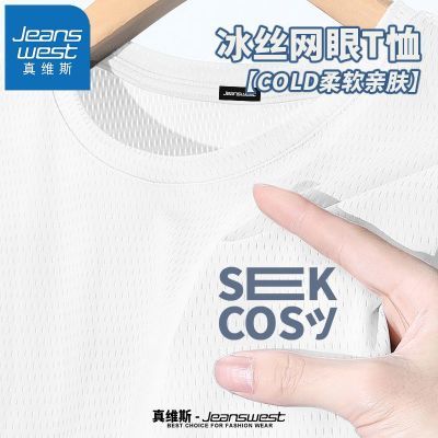 百亿补贴：真维斯冰丝短袖男夏季轻薄透气网眼半袖上衣2025新款男士速干T恤 29.1元