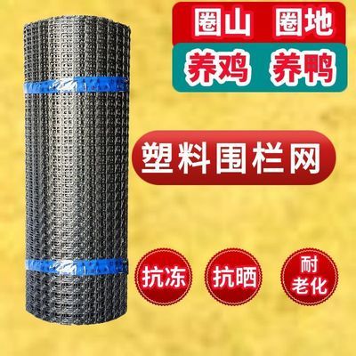 养鸡围栏网围鸡养殖网菜园防鸡鸭鹅围栏塑料网果园圈地鱼塘防护