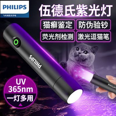ڲ¿ϹèѢƼⶺè߼鳮ӫ56.3Ԫ