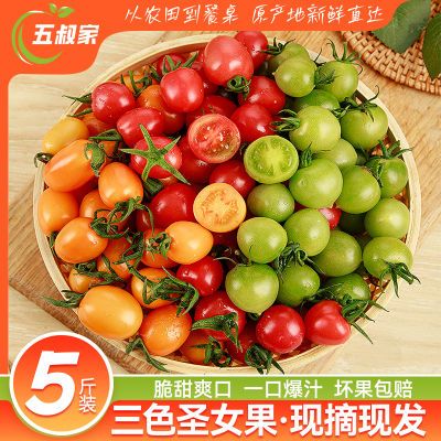 ڲҡժɫС35ʥŮˮ19.9Ԫ