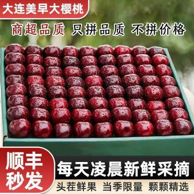 百亿补贴：【商超品质】大连美早大樱桃超大车厘子礼盒水果新鲜孕妇婴儿整箱 69.5元