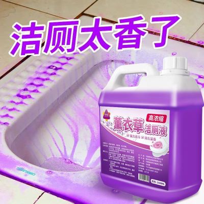 薰衣草厕灵厕所马桶清洁剂神器强力除臭去污除垢卫生间清香厕液优惠券