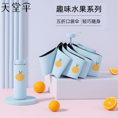 ڲɡۿڴɡŮСɡɹ̫ɡ 35.1Ԫ