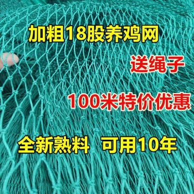 18股加粗拦鸡网养鸡鸭养鸡围栏网养鸡网养殖网围鸡熟料室外养鸡网