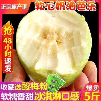 福建黄金奶油白芭乐水果软糯软心白心孕妇番石榴鸡屎果新鲜巴乐果