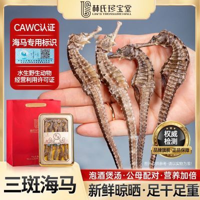 ڲ䱦 ߺɻĸںݾװ55.9Ԫ