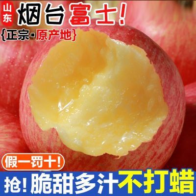 【顺丰包邮】山东烟台栖霞正宗红富士苹果礼盒装脆甜新鲜水果批发优惠商品图片