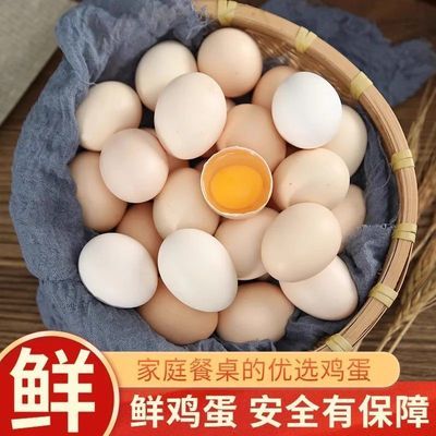 正宗农村土大个鸡蛋农家散养新鲜虫草蛋一整箱无抗批发谷物喂养