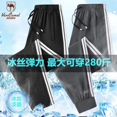 ڲVANCAMEL/հٴļпʿٸɿɱ˿˶54.9Ԫ