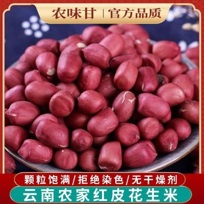 红皮花生米新货中小粒花生仁四粒红花生新鲜红衣生花生米批发商用