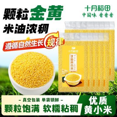 ڲʮµﶫʻС500g*10СС63.33Ԫ