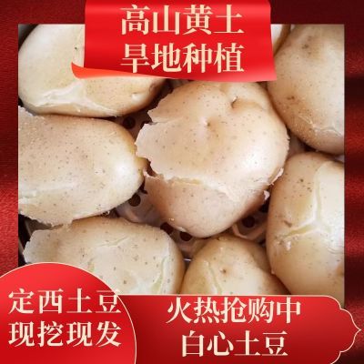 甘肃定西白皮白心大土豆新鲜现挖沙面正宗洋芋马铃薯蔬菜批发