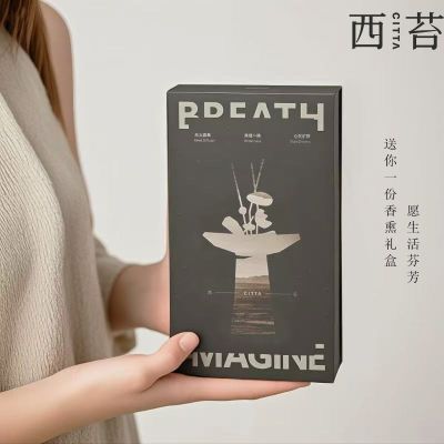 ڲCITTA/̦ʯ߼޻޹װڸ߼ڼɢ㾻113Ԫ