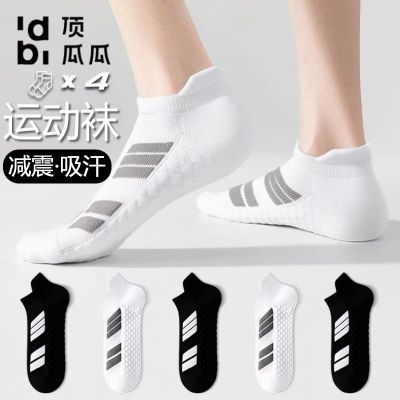 ���ڲ��������Ϲ��˶��������ﶬ������ë���׶����ܲ�����������͸������ 8.88Ԫ