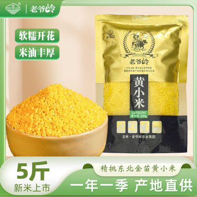 老爷岭黄小米5斤2斤正宗东北金苗2025新小米鲜黍米小米营养早餐粥
