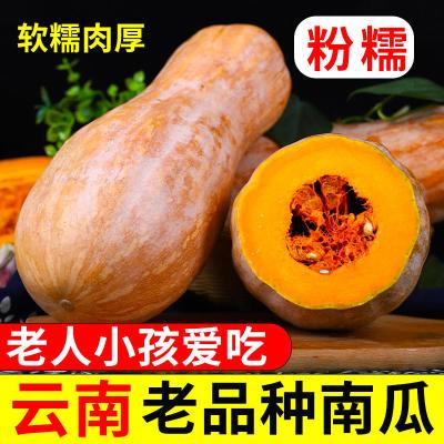 蜜本老南瓜农家自种甜糯宝宝辅食老品种南瓜1o斤单季新鲜蔬菜批发