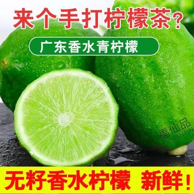 广东香水柠檬新鲜无籽柠檬鲜果商用柠檬茶水果奶茶店专用新鲜柠檬