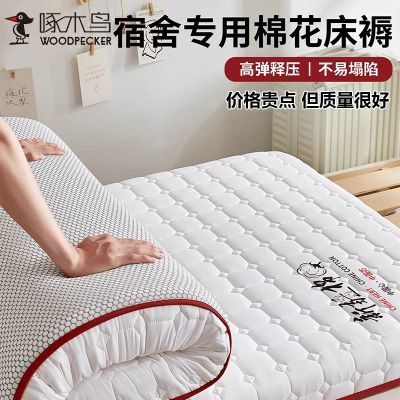 ڲľѧרôڸ½޻ӵ90x190ר92.8Ԫ