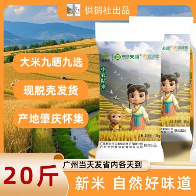 供销社【沛沛猴农粘米】20斤长粒香米晚稻新米