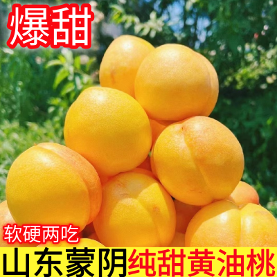 黄油桃黄皮黄心桃子新鲜头茬大果黄桃水蜜桃脆桃黄金油桃整箱