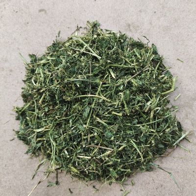 新鲜高蛋白紫花苜蓿烘干干草碎兔兔幼兔主食龙猫兔子幼龄主食干草