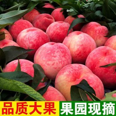 陕西毛桃水蜜桃 5斤 12.8磕碰坏果包赔！！https://p.pinduoduo.com/sMlMre7j 