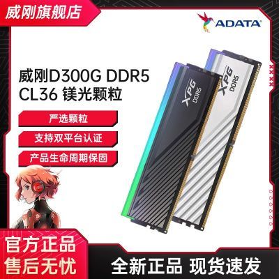  XPGD300G 16G/32G 6000  DDR5ڴRGB þ285Ԫ