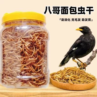 八哥烘干面包虫干喂鸡虫子干芦丁鸡地图鱼蝴蝶鲤黄粉虫干专用粮