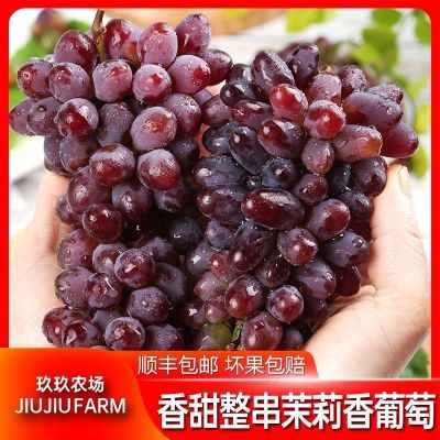 ڲ˳᡾ũˮ2ǺС25.9Ԫ