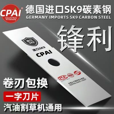 ڲݻһֵƬCPAIƷSK9ڼӺκϽ̸ֵƬݻ 10.61Ԫ