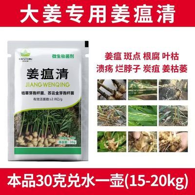 正品姜瘟清专治生姜黄叶杀菌剂烂脖子死棵烂苗专用